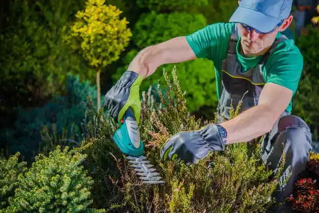 landscaping services Wisner